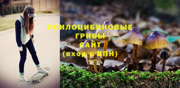 трава Горнозаводск