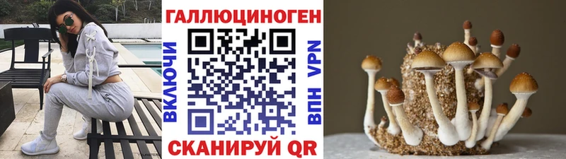 Псилоцибиновые грибы Psilocybine cubensis  hydra маркетплейс  Дрезна 